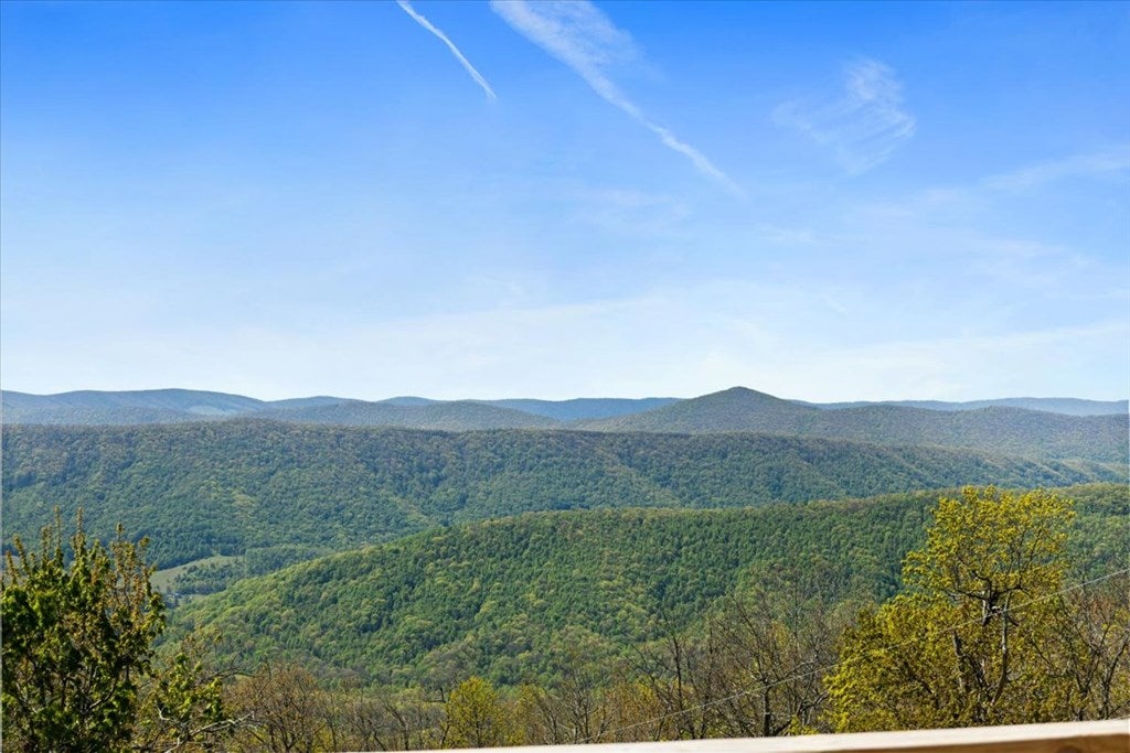 1422 Oneida Peak Road Bluefield, VA 24605 - Photo 3 of 49 Gallery Image 3