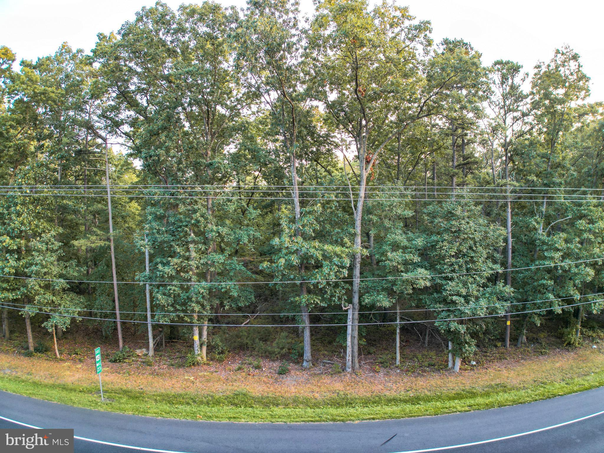 0 Harding Highway Monroeville, NJ 08343 - Photo 14 of 16