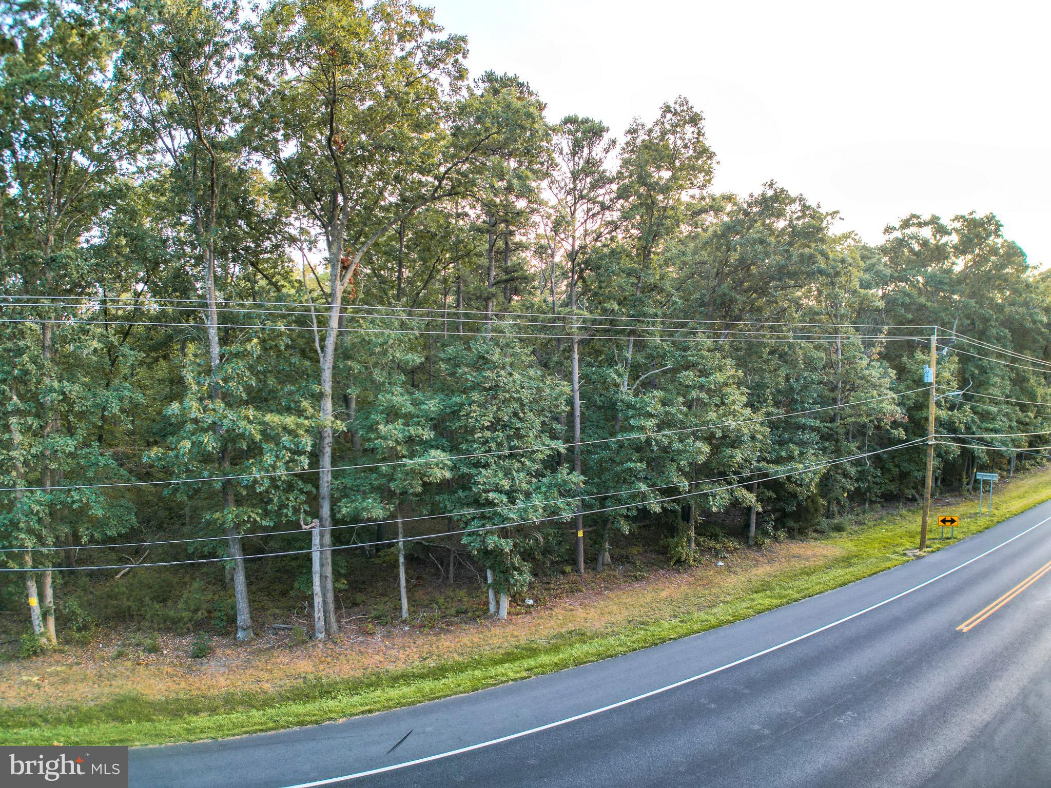 0 Harding Highway Monroeville, NJ 08343 - Photo 15 of 16