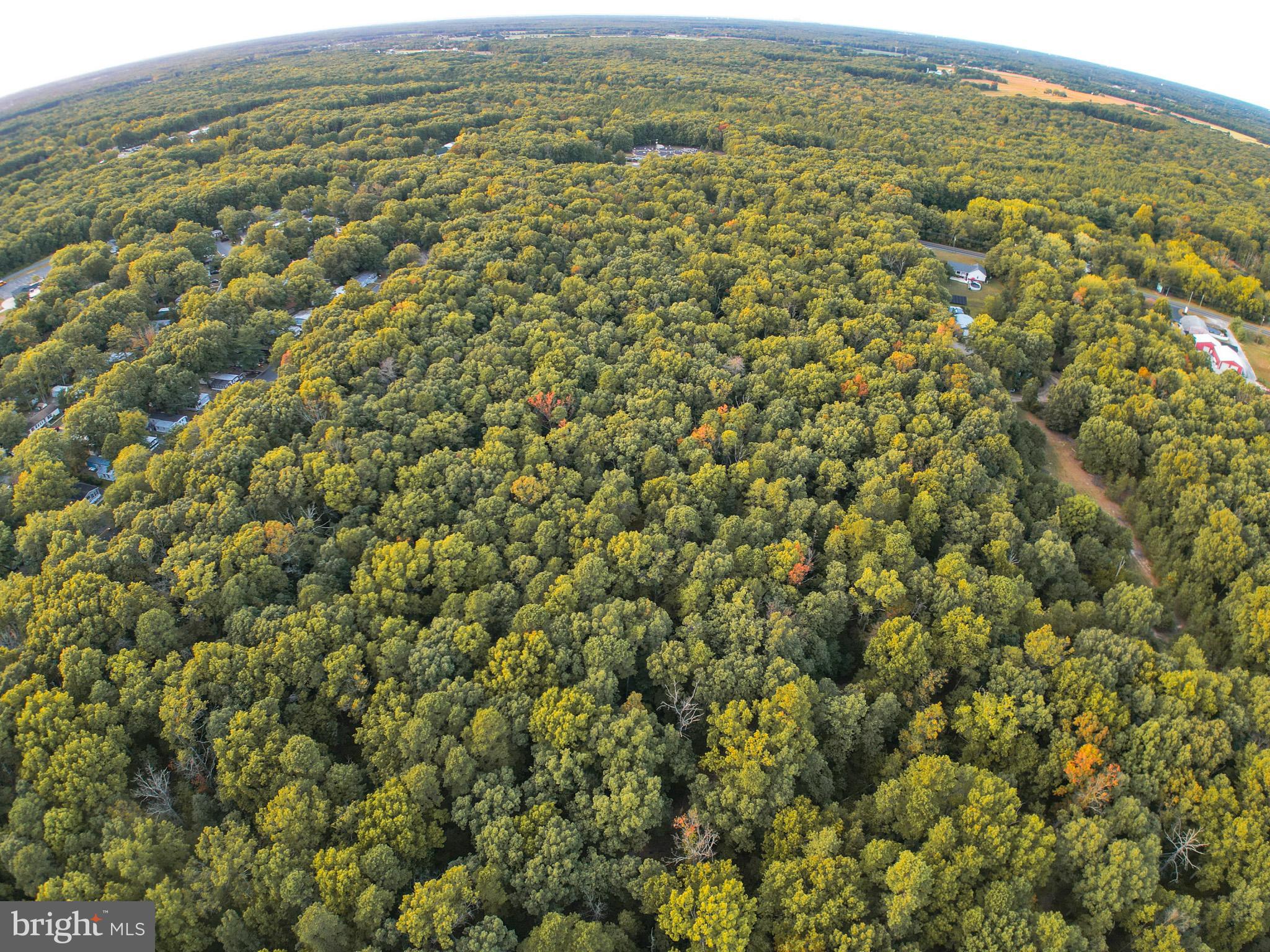 0 Harding Highway Monroeville, NJ 08343 - Photo 9 of 16
