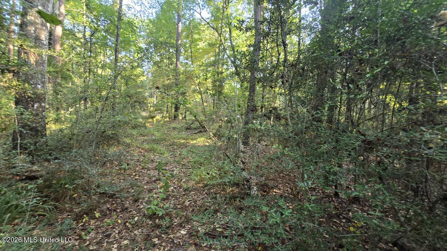Stump Road Gloster, MS 39638 - Photo 12 of 17 20260729_083631