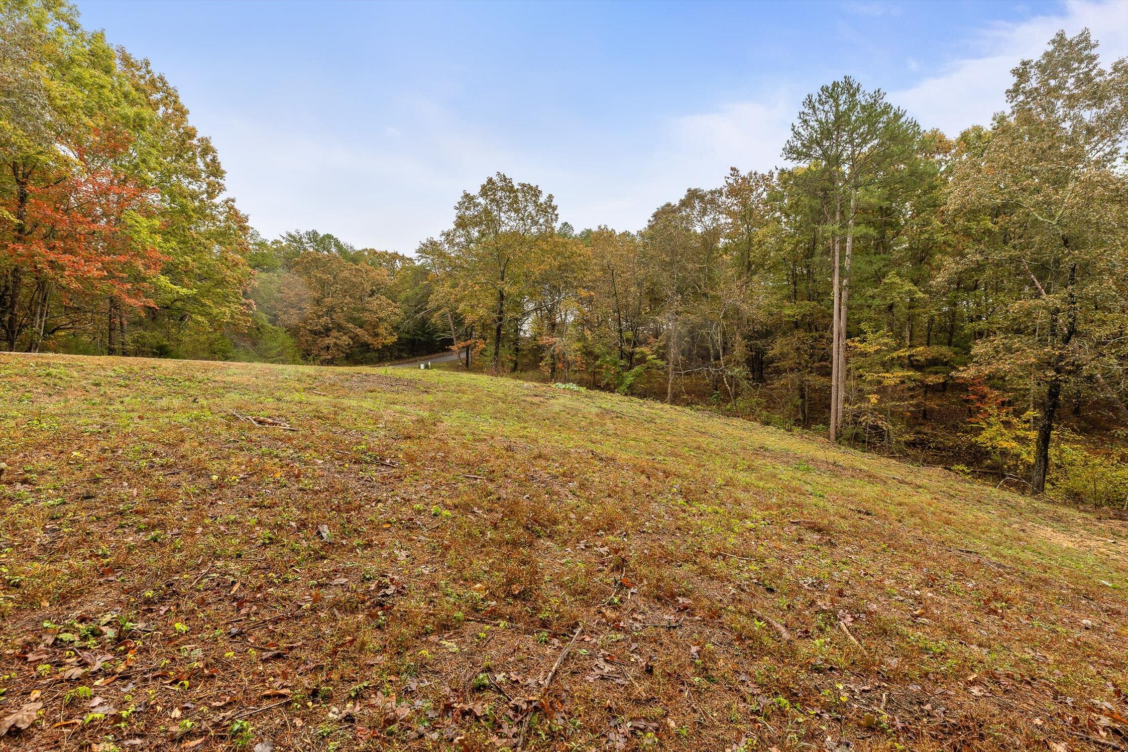 0 Countryside Drive Dunlap, TN 37327 - Photo 10 of 34 10-Countryside-10