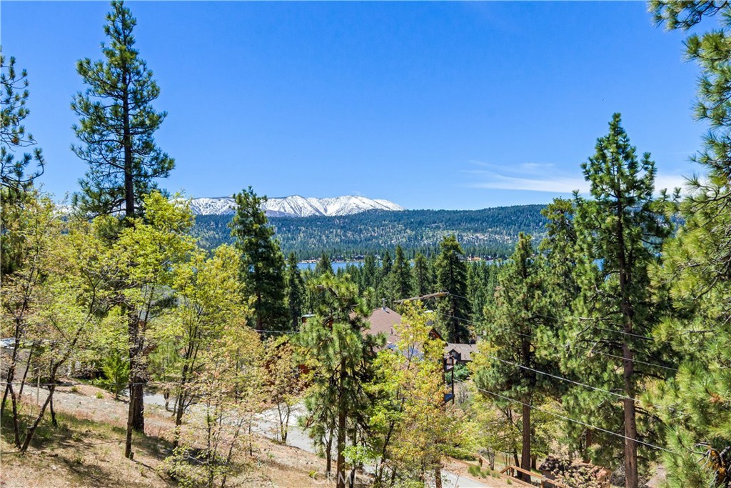 39576 Oakglen Road Fawnskin, CA 92333 - Photo 5 of 32