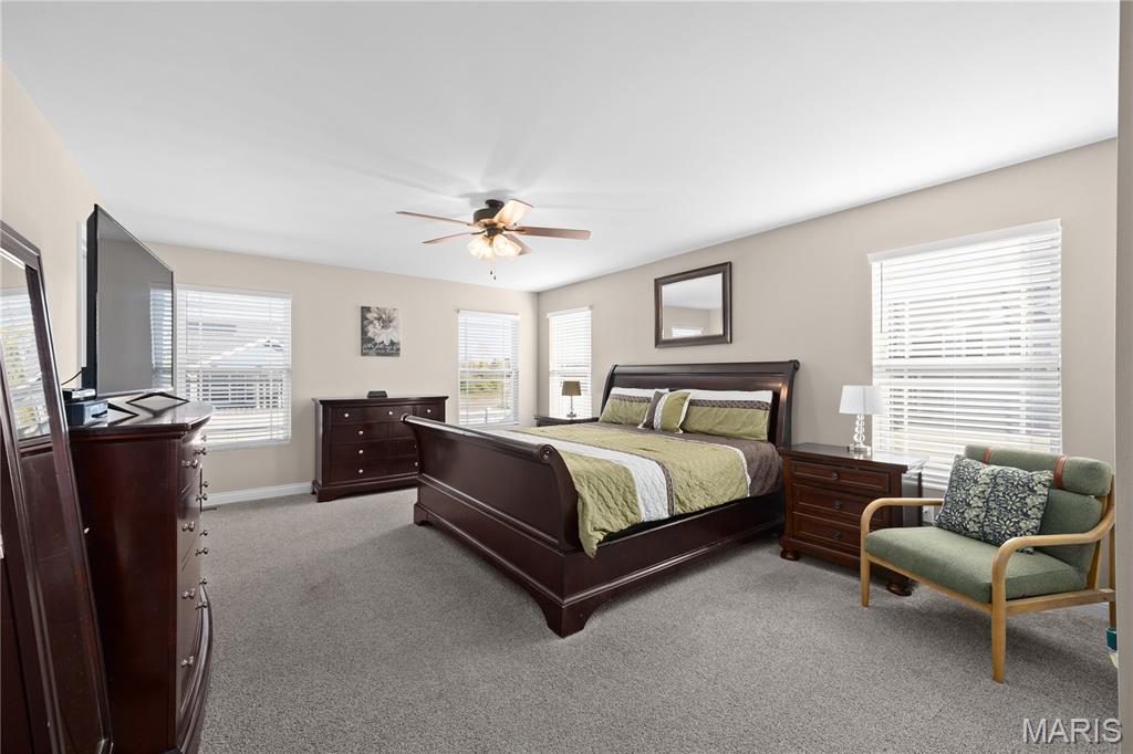 302 Carta Drive Shiloh, IL 62221 - Photo 12 of 38