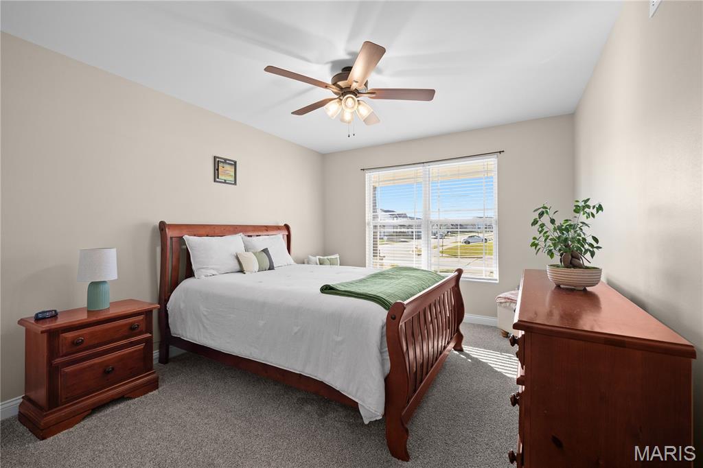 302 Carta Drive Shiloh, IL 62221 - Photo 19 of 38