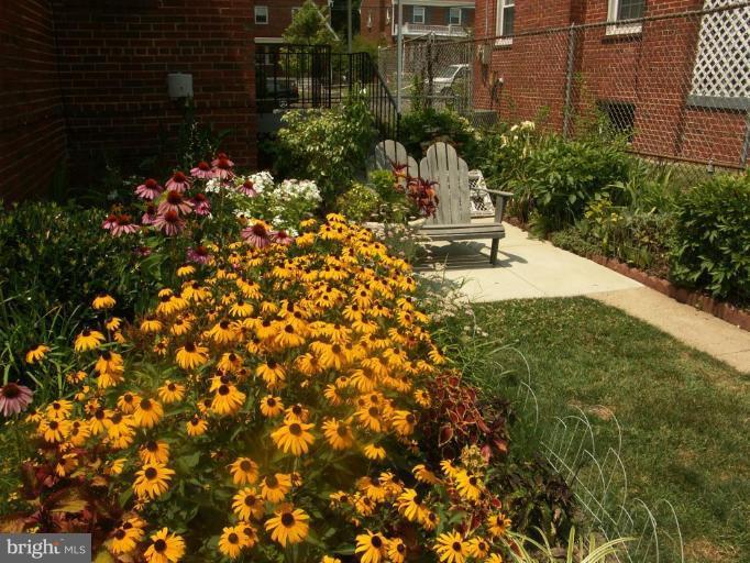 3601 28th Street Northeast Washington, DC 20018 - Photo 21 of 24 a view of a garden