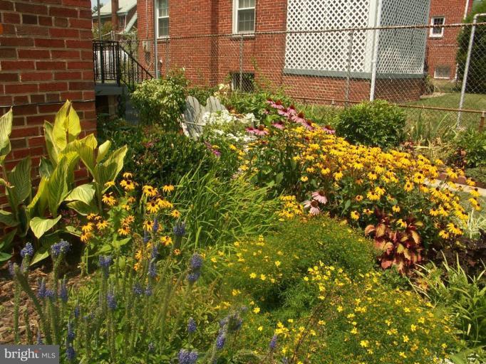 3601 28th Street Northeast Washington, DC 20018 - Photo 22 of 24 a backyard of a house with lots of green space