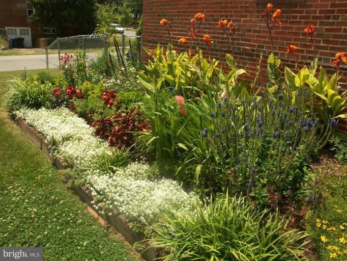3601 28th Street Northeast Washington, DC 20018 - Photo 23 of 24 a view of a garden