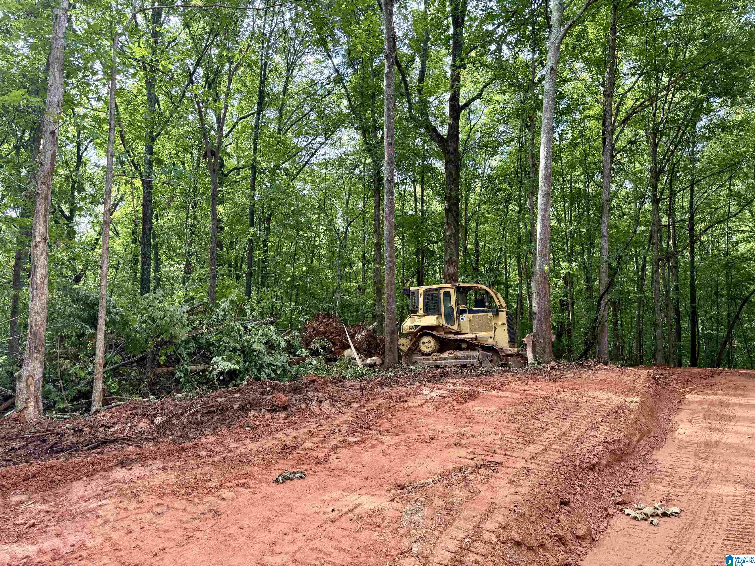 0 Settlement Road Sylacauga, AL 35150 - Photo 15 of 16
