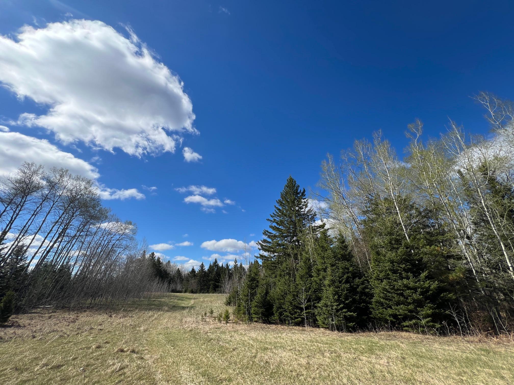 Parcel D Township Road East Floodwood, MN 55736 - Photo 8 of 22