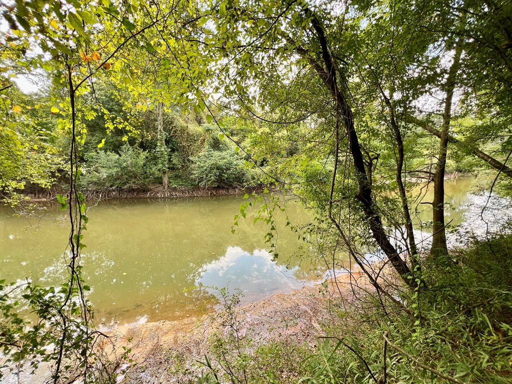 202-acres Columbus Holley Road Samson, AL 36477 - Photo 2 of 50