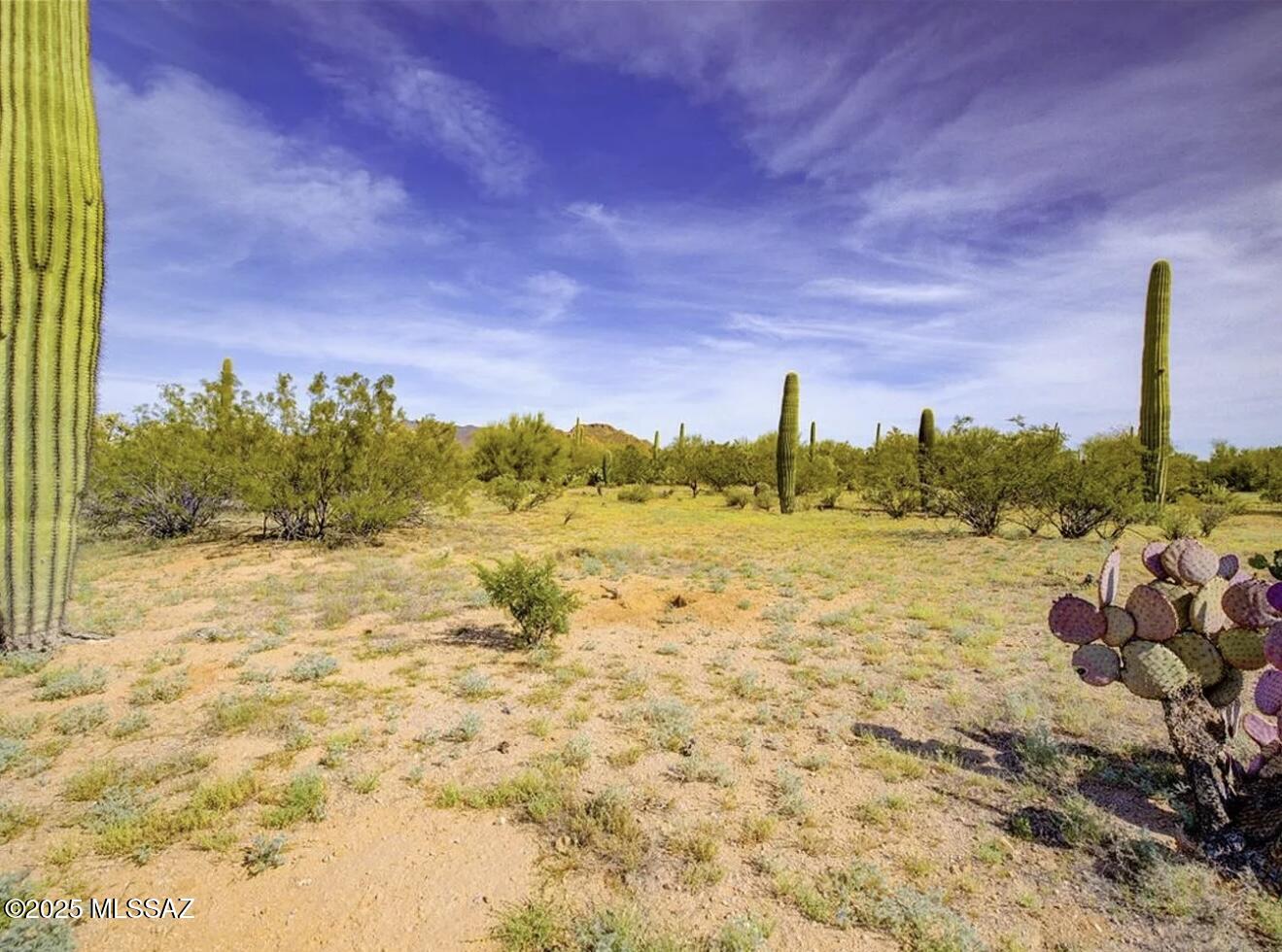 4401 North Sanders Road Tucson, AZ 85743 - Photo 28 of 32 Gallery Image 28