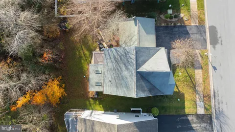 a view of a garden with a bench