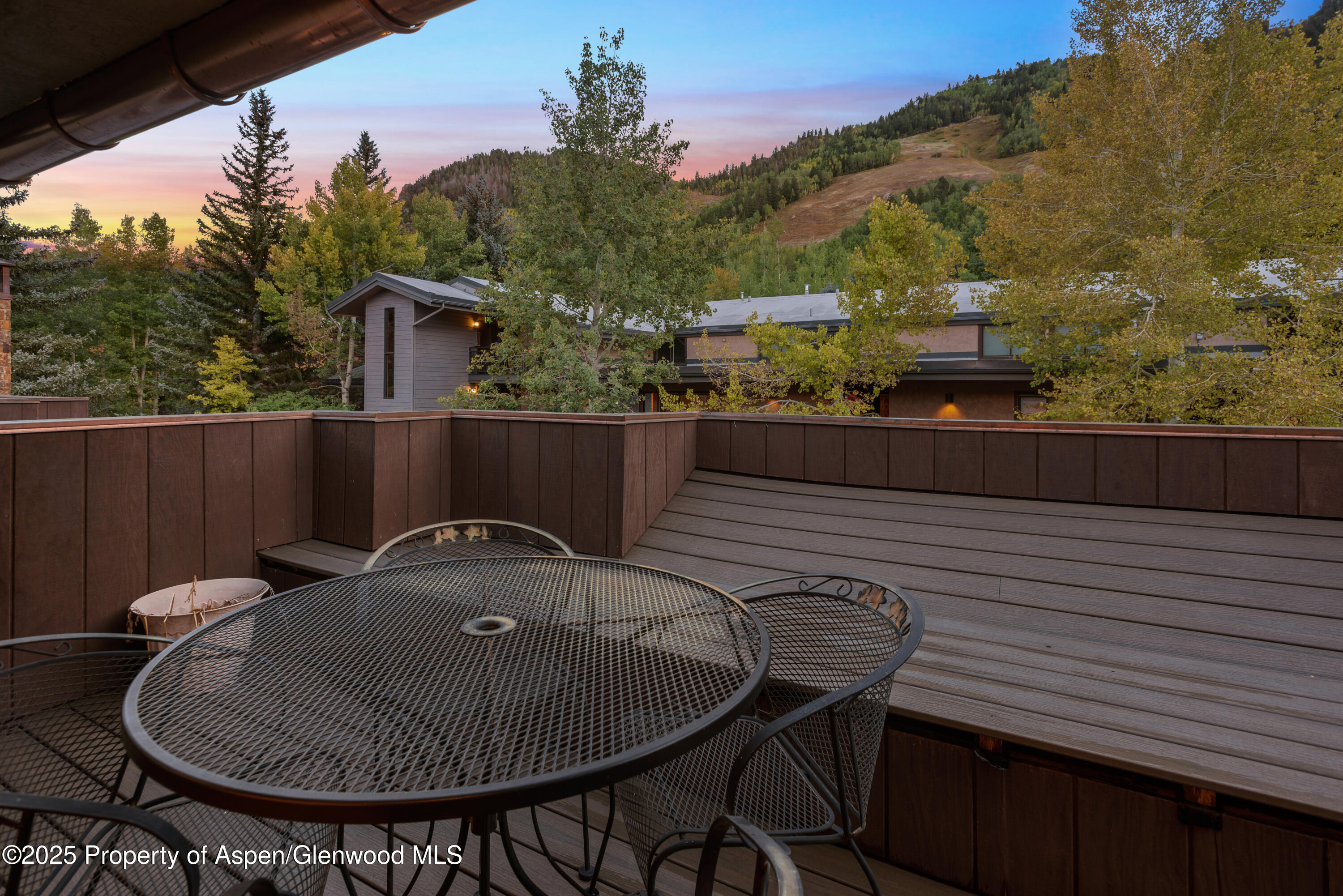 650 South Monarch Street, Unit 4 Aspen, CO 81611 - Photo 20 of 37 a backyard of a house with table and chairs