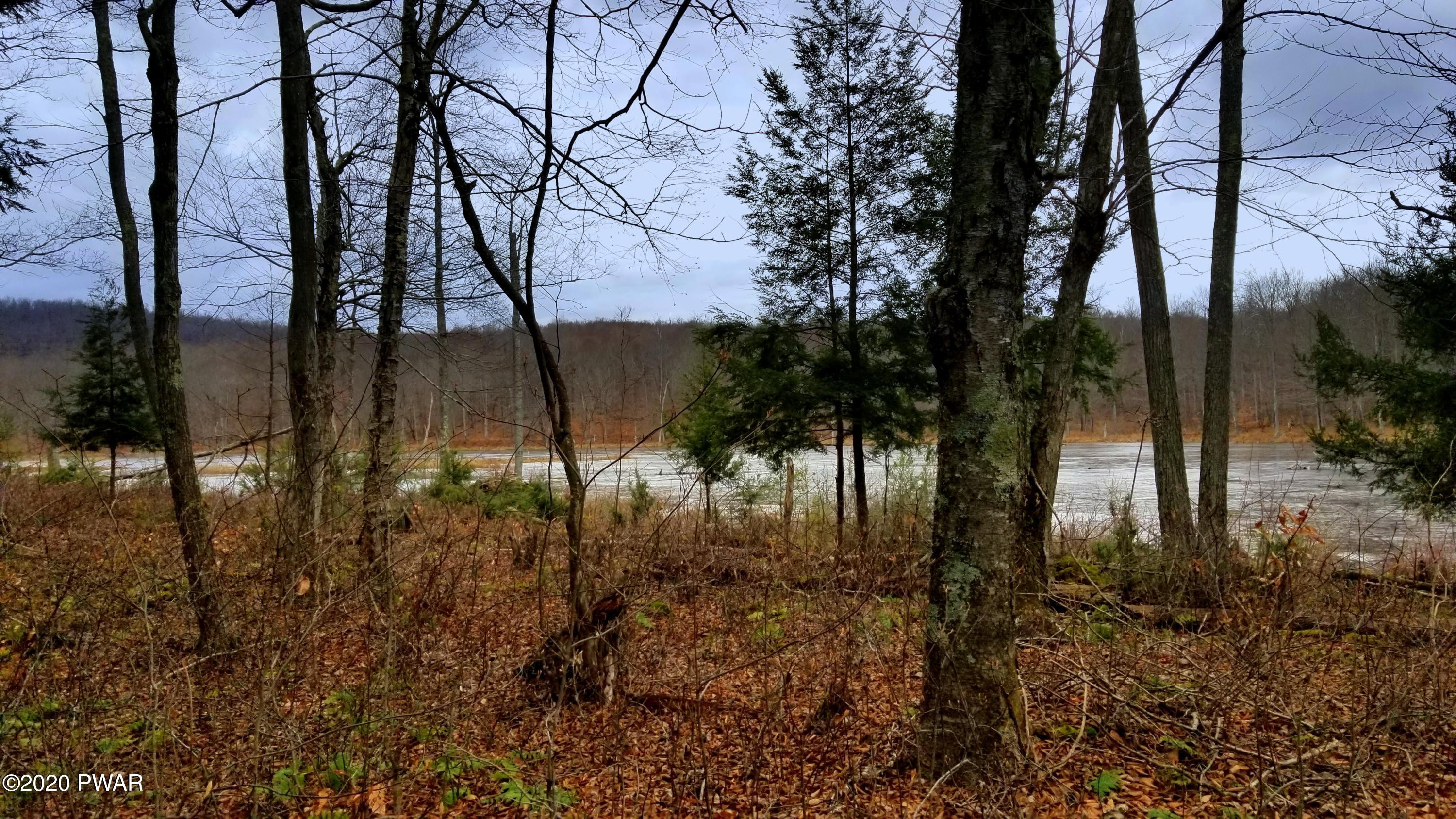 Lot 80 Stonegate Road Equinunk, PA 18417 - Photo 42 of 58