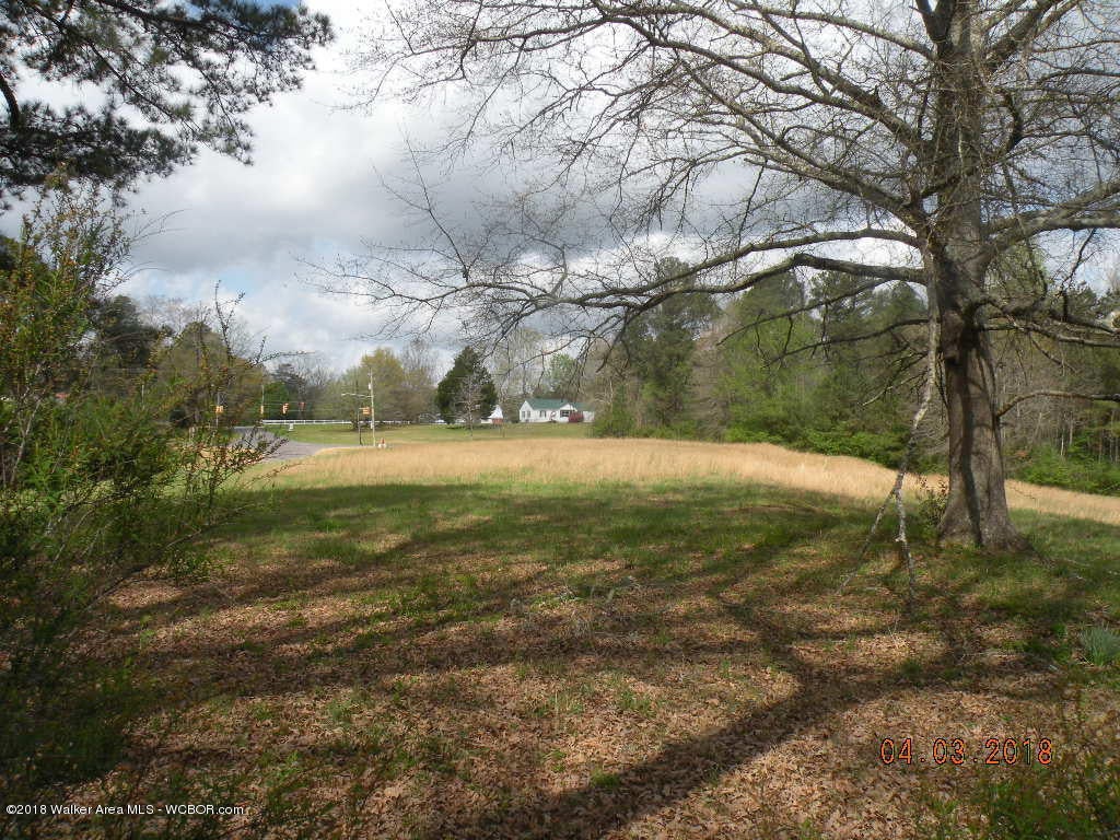 104 East Ridgewood Road Jasper, AL 35504 - Photo 14 of 15 Gallery Image 14