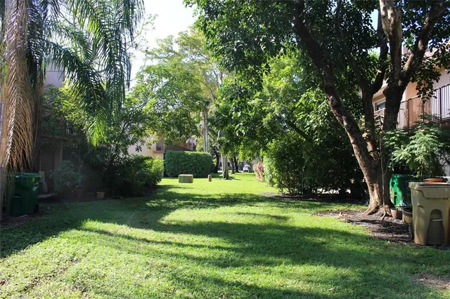 a view of a tree in a yard