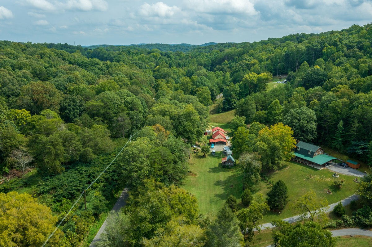 184 Davidson Hollow Road Heiskell, TN 37754 - Photo 3 of 40 a view of a garden with plants
