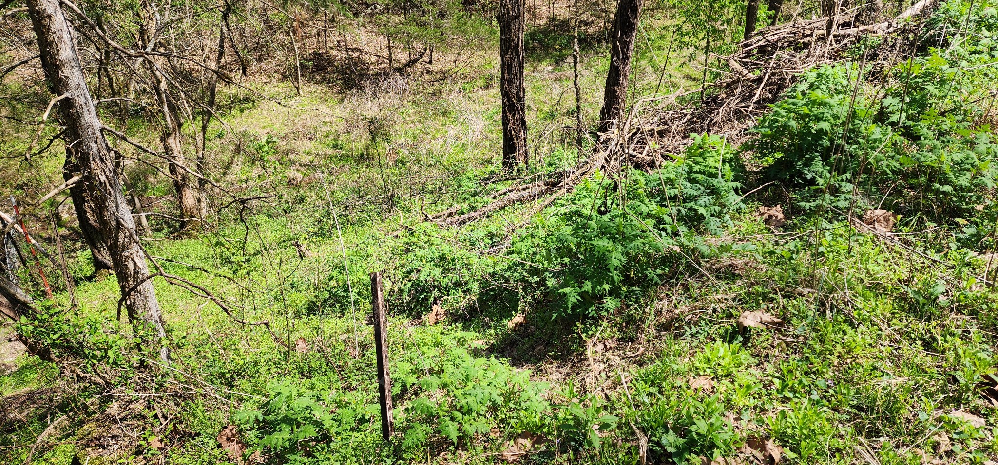 0 Chapman Hollow Road Dowelltown, TN 37059 - Photo 12 of 14