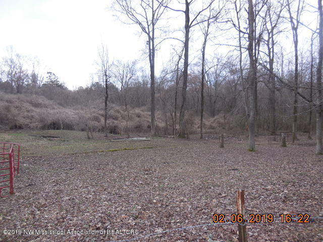 9265 Arkabutla Road Coldwater, MS 38618 - Photo 31 of 36 DSCN3620