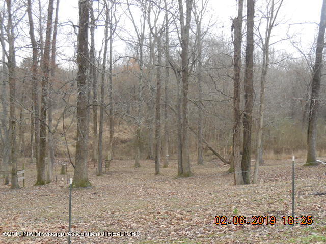 9265 Arkabutla Road Coldwater, MS 38618 - Photo 36 of 36 DSCN3635