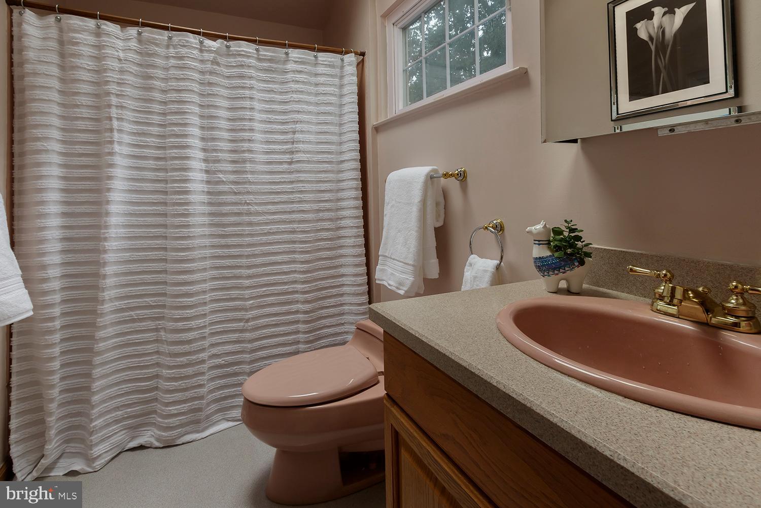 13 Oniontown Road Medford, NJ 08055 - Photo 24 of 37 Full bath with skylight