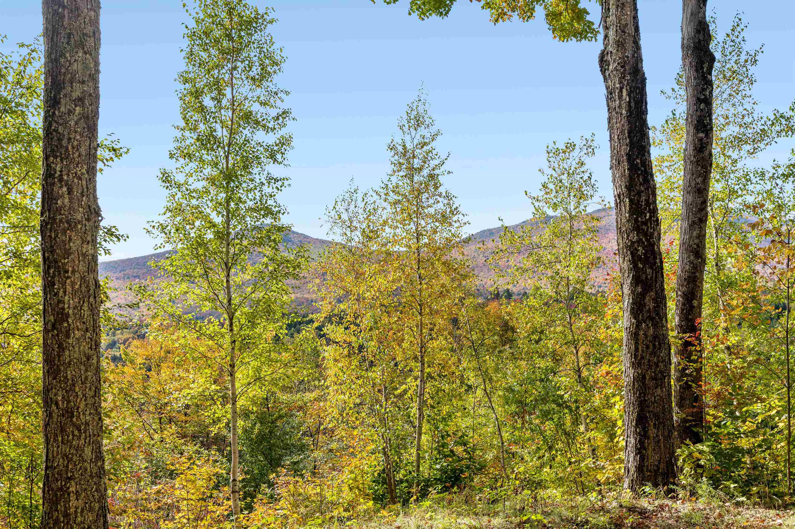 1309 Notchbrook Road, Unit 5 Stowe, VT 05672 - Photo 21 of 34 Gallery Image 21