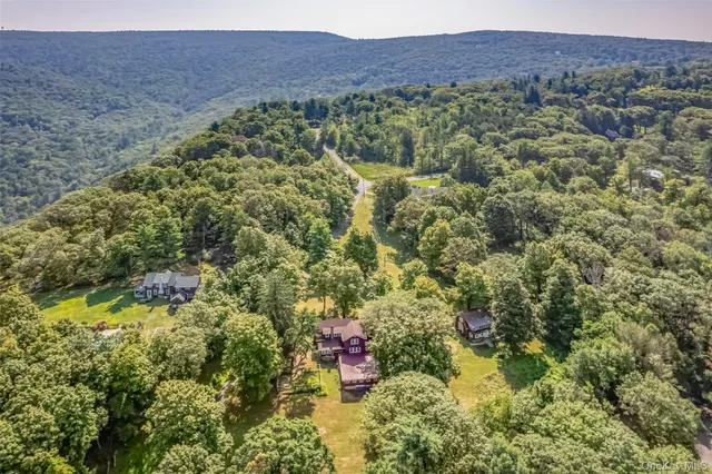 a view of a lush green forest with two and trees