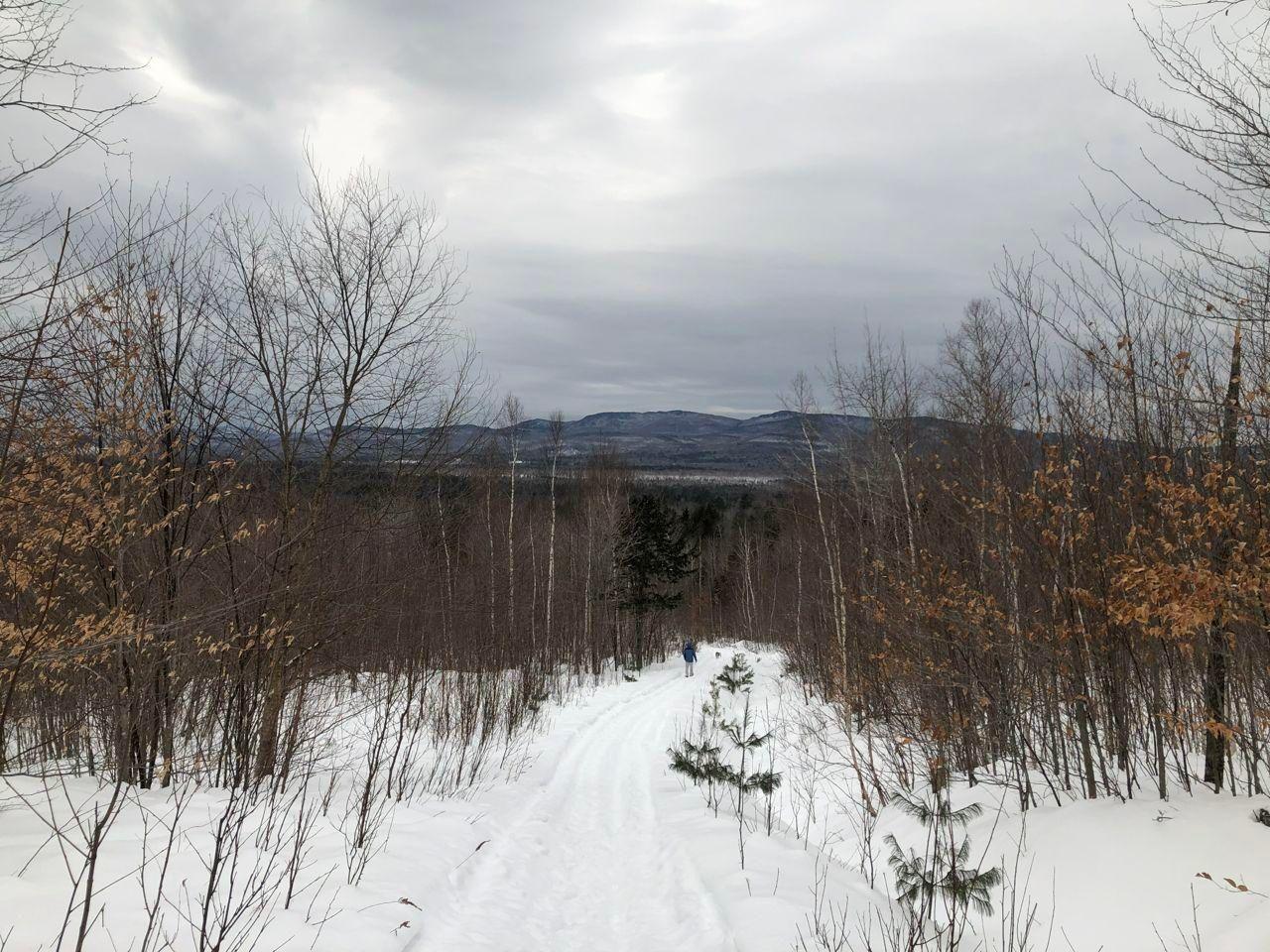 9 Green Hill Road Dixfield, ME 04224 - Photo 16 of 34 lot 9