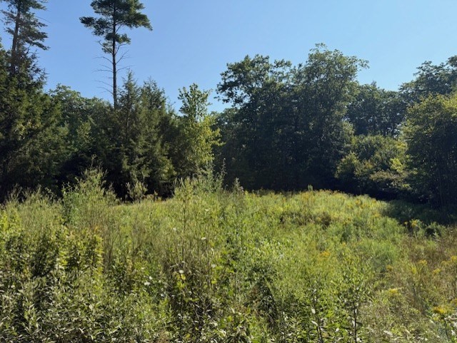 149 Bragg Hill Road Westminster, MA 01473 - Photo 6 of 9