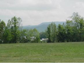 700 Pleasant Hill Road Chuckey, TN 37641 - Photo 4 of 9 Photo 4