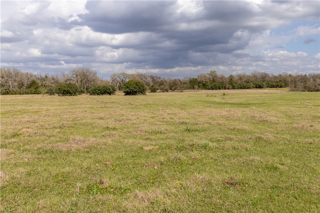 10100 Ferrill Creek Road Bryan, TX 77808 - Photo 15 of 20