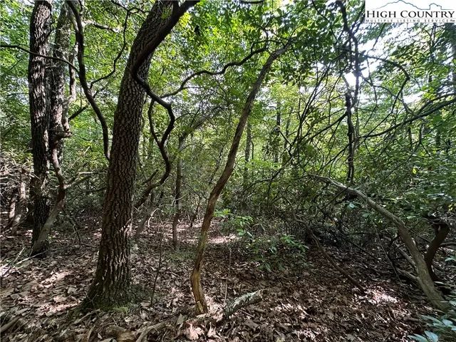 $79,500 | Lot 36 Cascade Run, Purlear, NC 28665