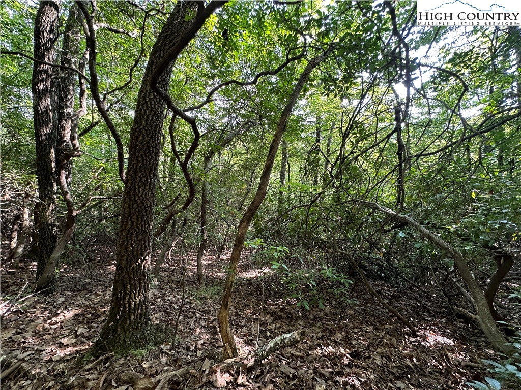 Lot 36 Cascade Run Purlear, NC 28665 - Photo 11 of 35