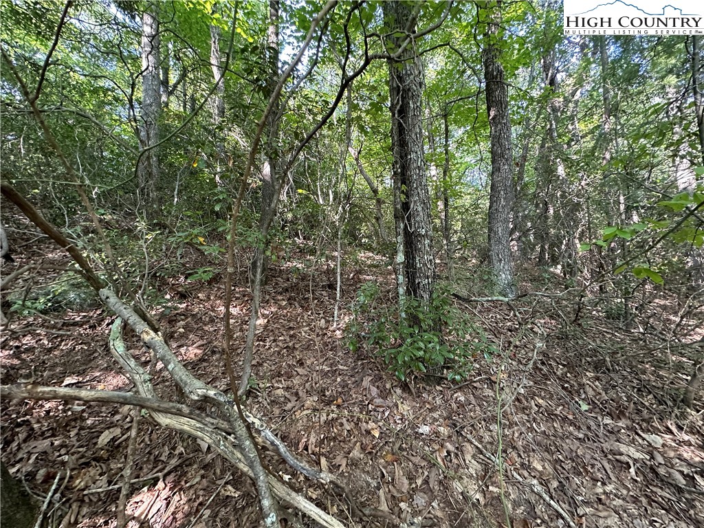 Lot 36 Cascade Run Purlear, NC 28665 - Photo 12 of 35