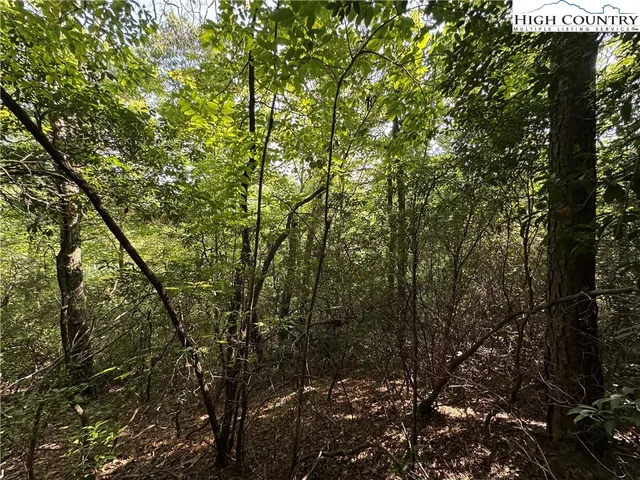 $79,500 | Lot 36 Cascade Run, Purlear, NC 28665
