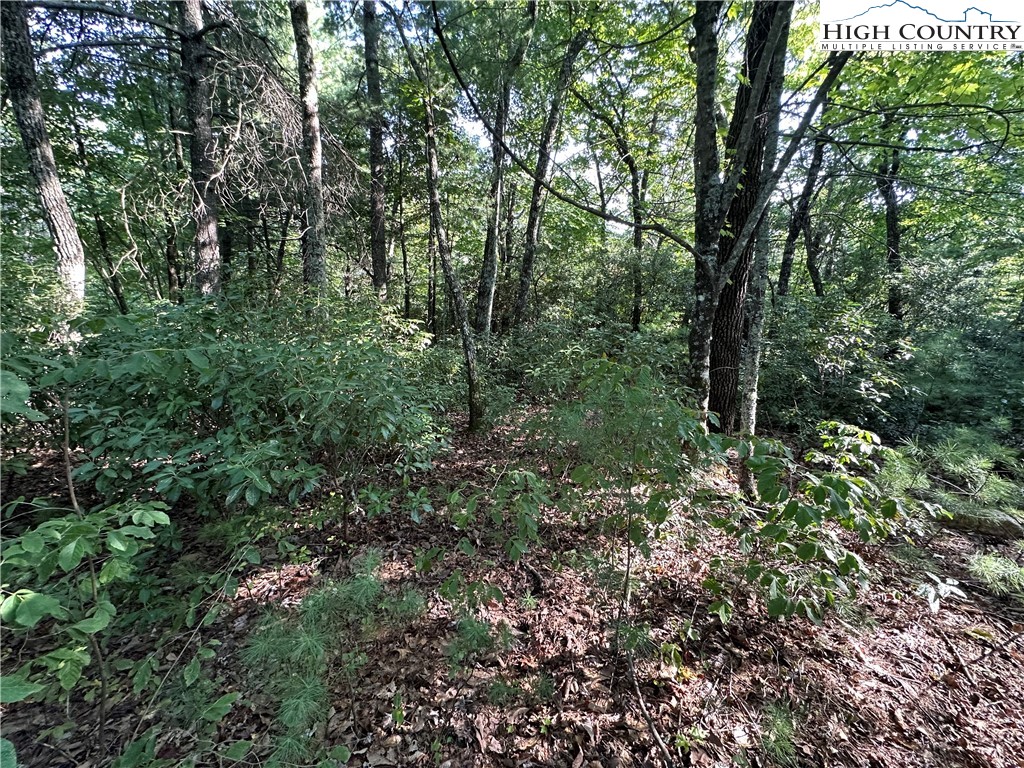 Lot 36 Cascade Run Purlear, NC 28665 - Photo 14 of 35