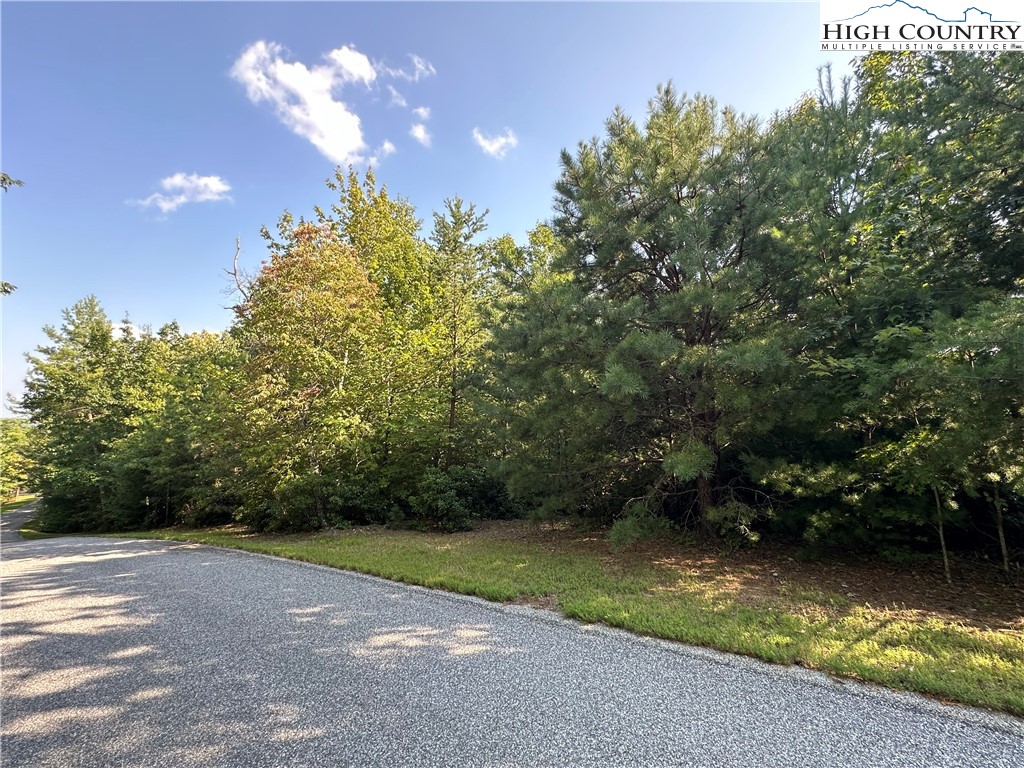 Lot 36 Cascade Run Purlear, NC 28665 - Photo 15 of 35