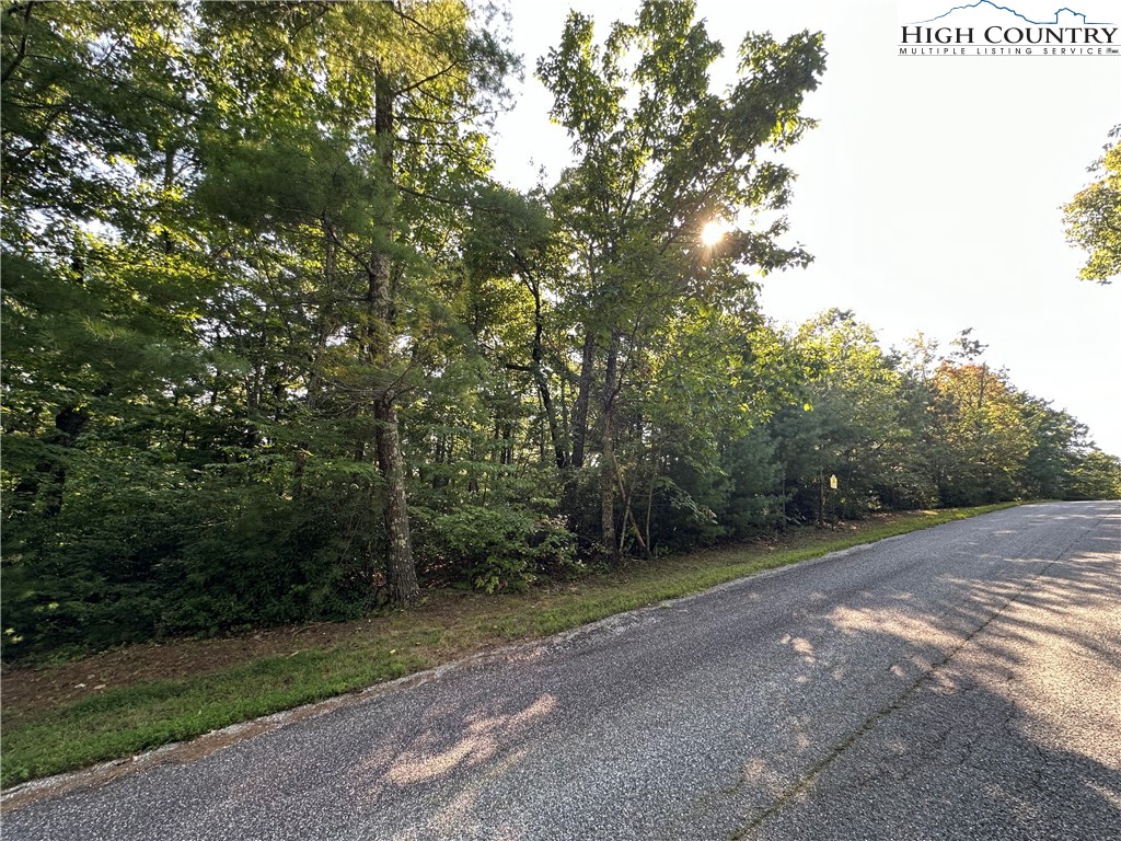 Lot 36 Cascade Run Purlear, NC 28665 - Photo 16 of 35