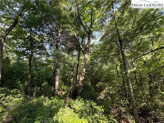 $79,500 | Lot 36 Cascade Run, Purlear, NC 28665