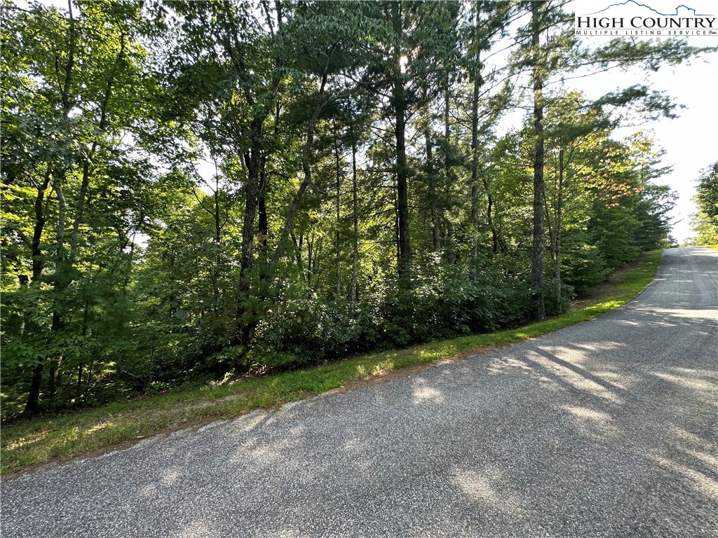 Lot 36 Cascade Run Purlear, NC 28665 - Photo 2 of 35