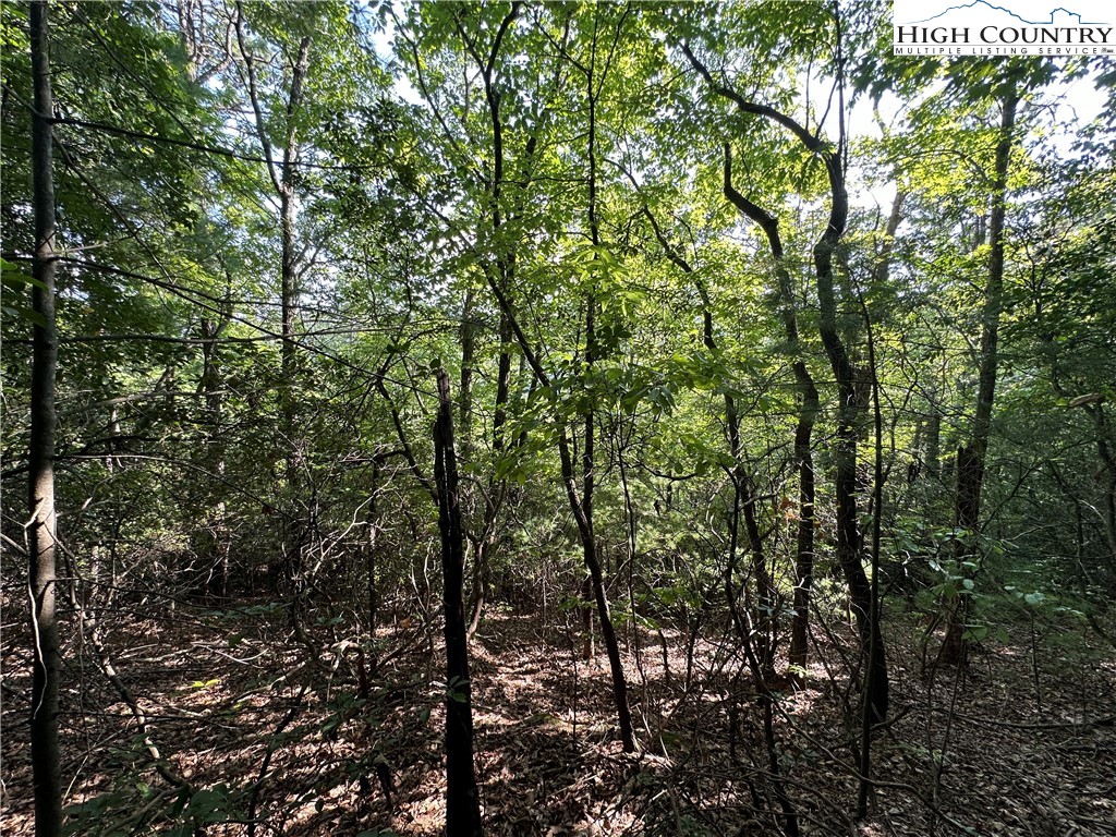 Lot 36 Cascade Run Purlear, NC 28665 - Photo 4 of 35