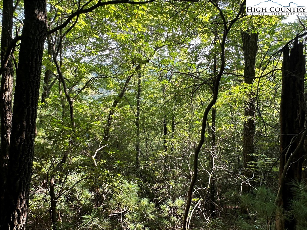 Lot 36 Cascade Run Purlear, NC 28665 - Photo 5 of 35