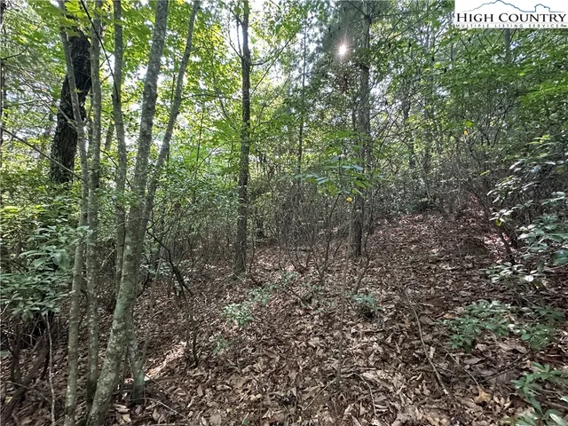 $79,500 | Lot 36 Cascade Run, Purlear, NC 28665