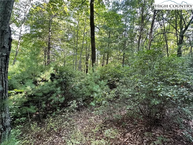 $79,500 | Lot 36 Cascade Run, Purlear, NC 28665