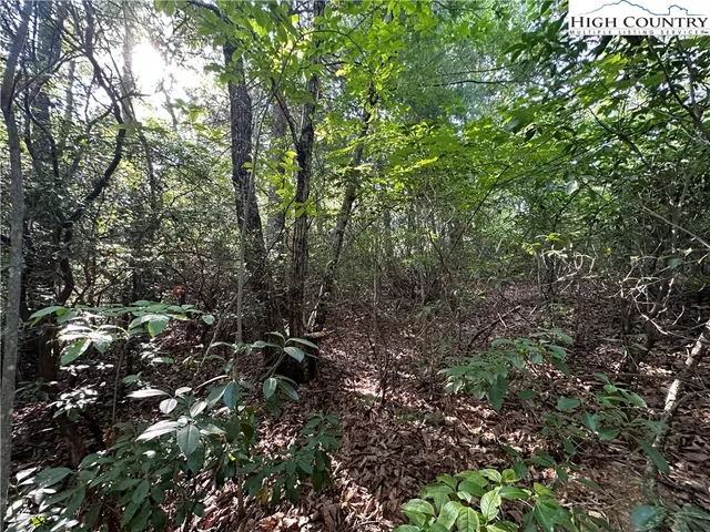 $79,500 | Lot 36 Cascade Run, Purlear, NC 28665