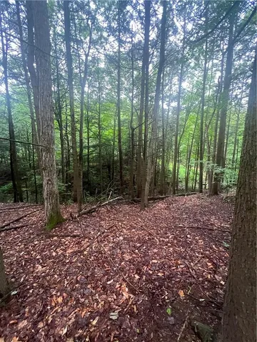 $210,000 | 0 Little Hollow Road, Grahamsville, NY 12740