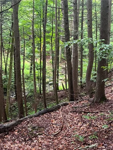 $210,000 | 0 Little Hollow Road, Grahamsville, NY 12740