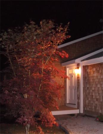115 Silver Street Hanover, MA 02339 - Photo 24 of 28 Gallery Image 24
