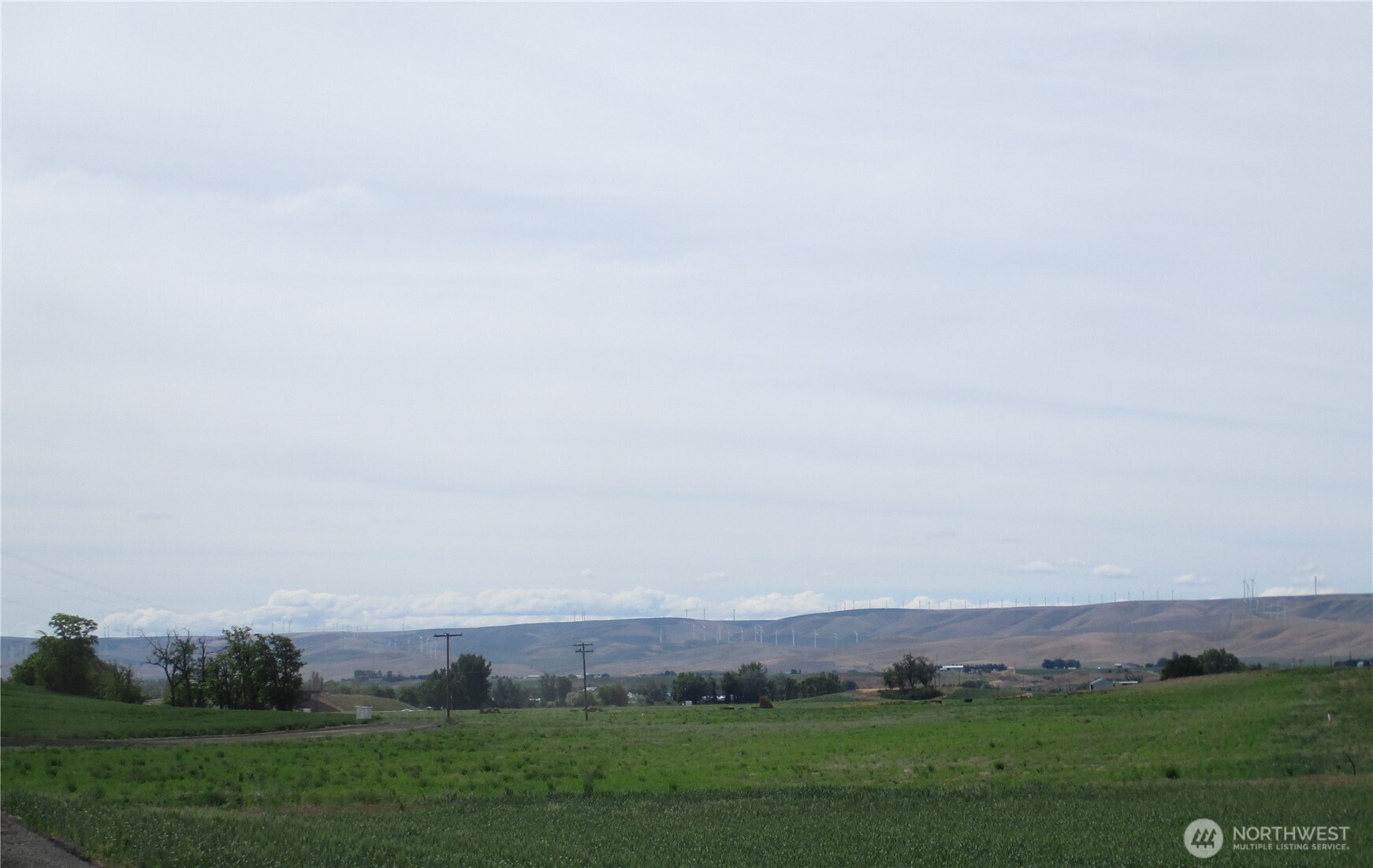 669 Cummins Road Touchet, WA 99360 - Photo 8 of 13